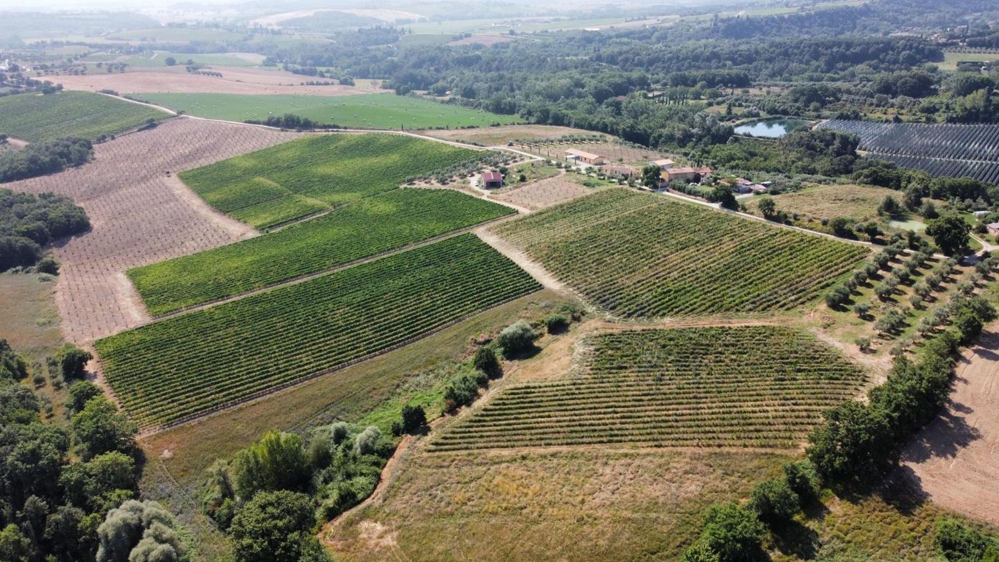 Agriturismo Podere Casa Al Vento Montepulciano Stazione Eksteriør bilde