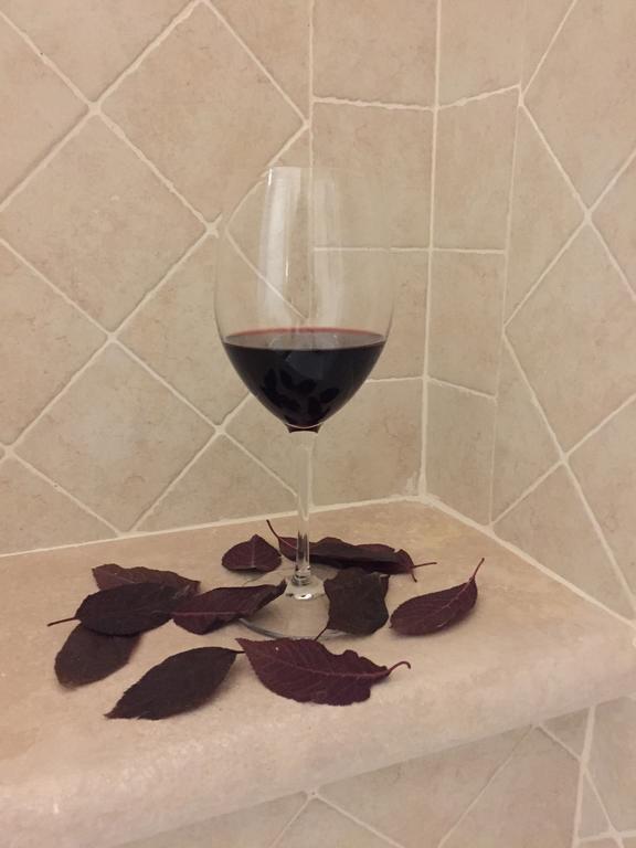 Agriturismo Podere Casa Al Vento Montepulciano Stazione Eksteriør bilde