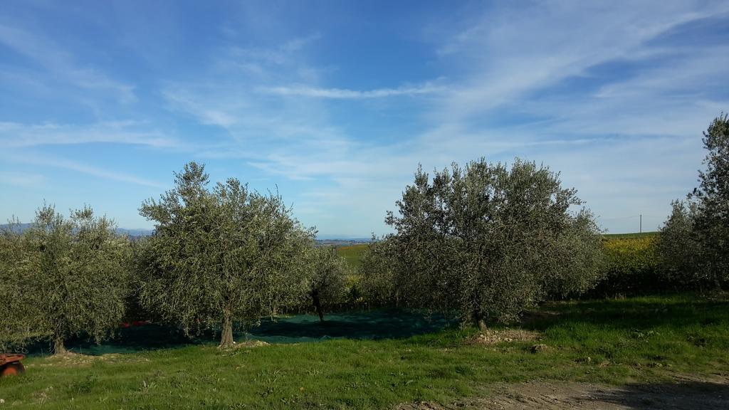 Agriturismo Podere Casa Al Vento Montepulciano Stazione Eksteriør bilde