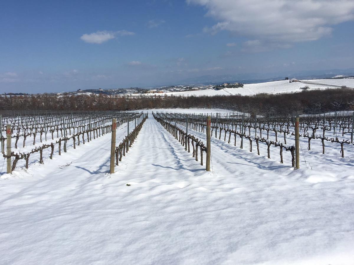 Agriturismo Podere Casa Al Vento Montepulciano Stazione Eksteriør bilde