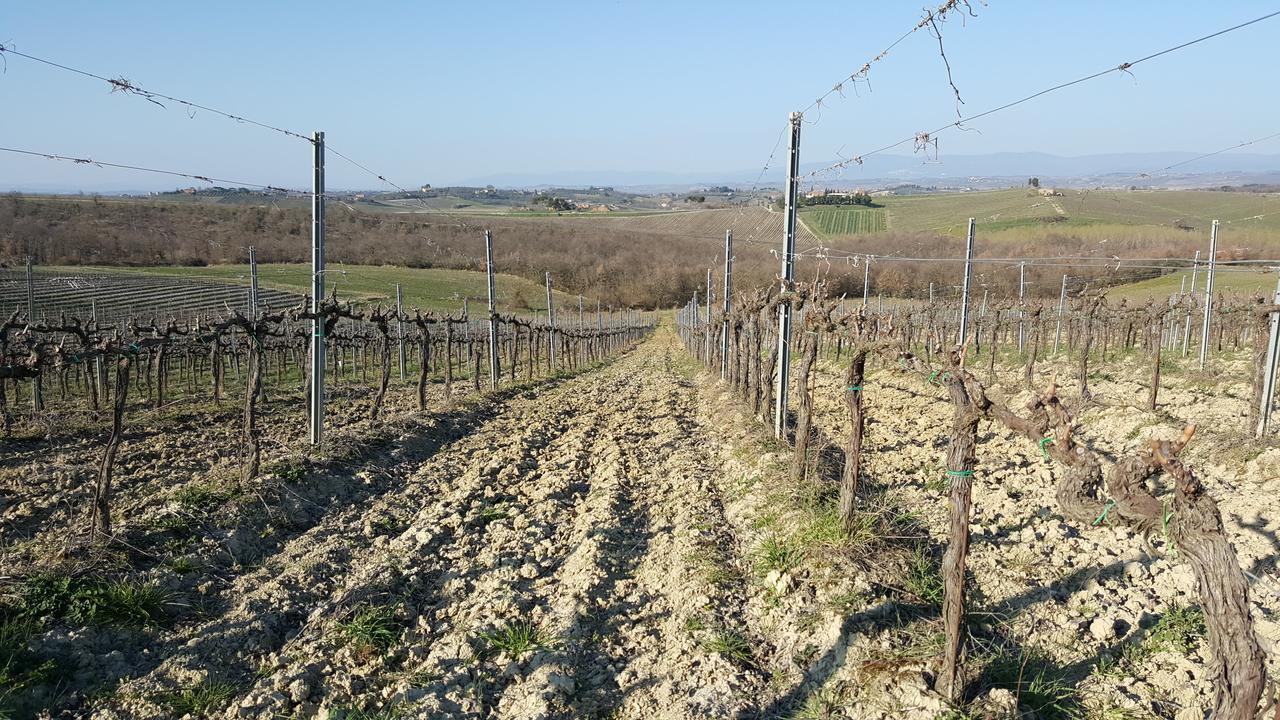 Agriturismo Podere Casa Al Vento Montepulciano Stazione Eksteriør bilde